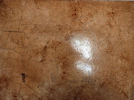 exotic and extraordinary finishes